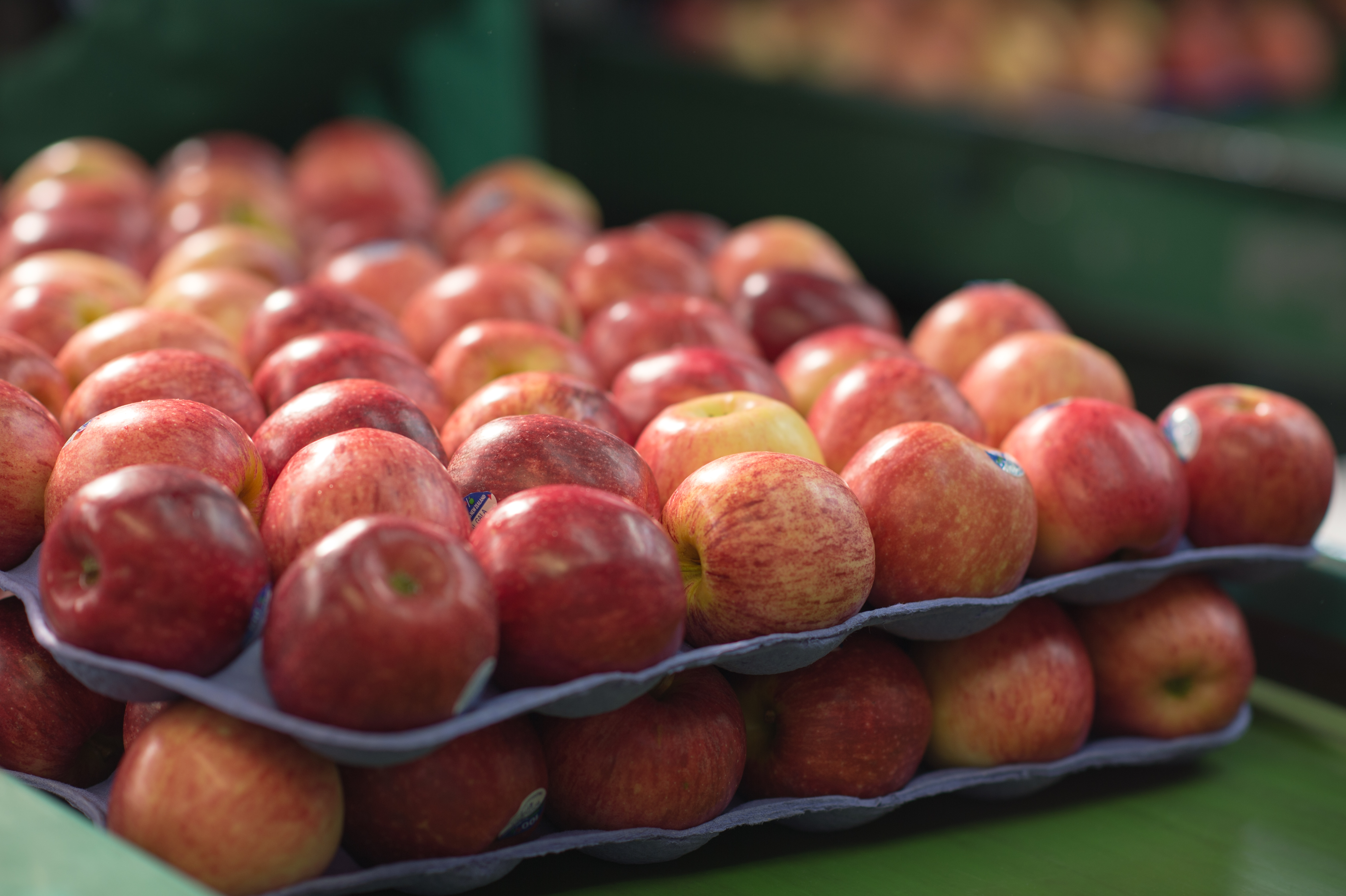 Packed apples ready for export